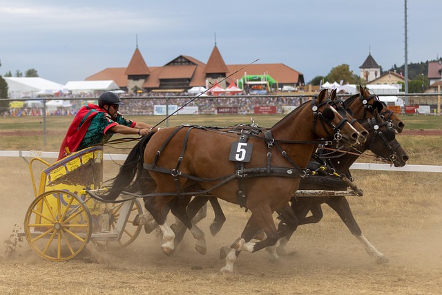 团队需要制 团队需要制